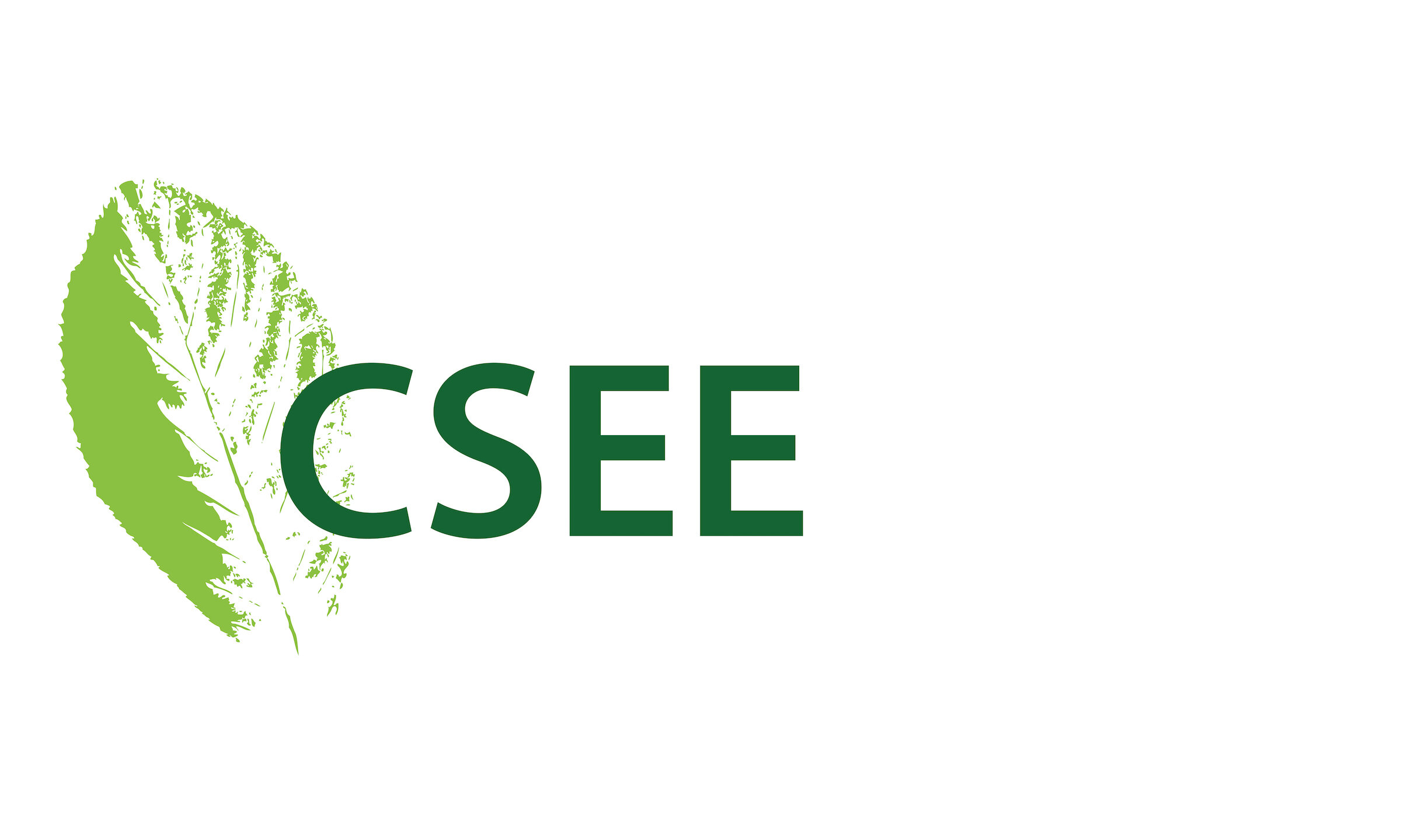 CSEE Logo.jpg