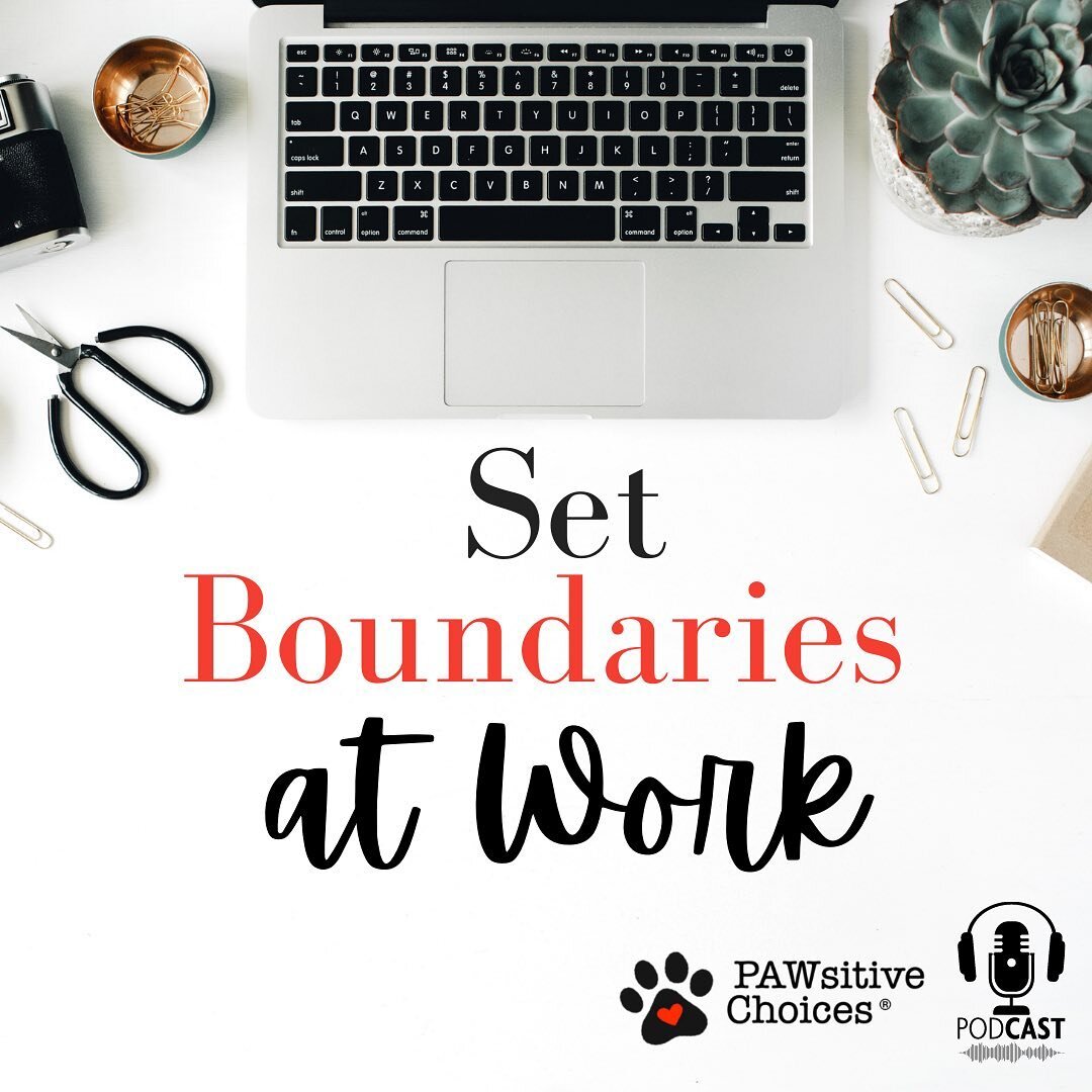 Feel pressed for time? ⏰ You are not alone! 😅 In this week&rsquo;s episode of The PAWsitive Choices Podcast we explore why many of us feel as though we have too much to do and not enough time to do it. 🎙We also discuss strategies to help you priori