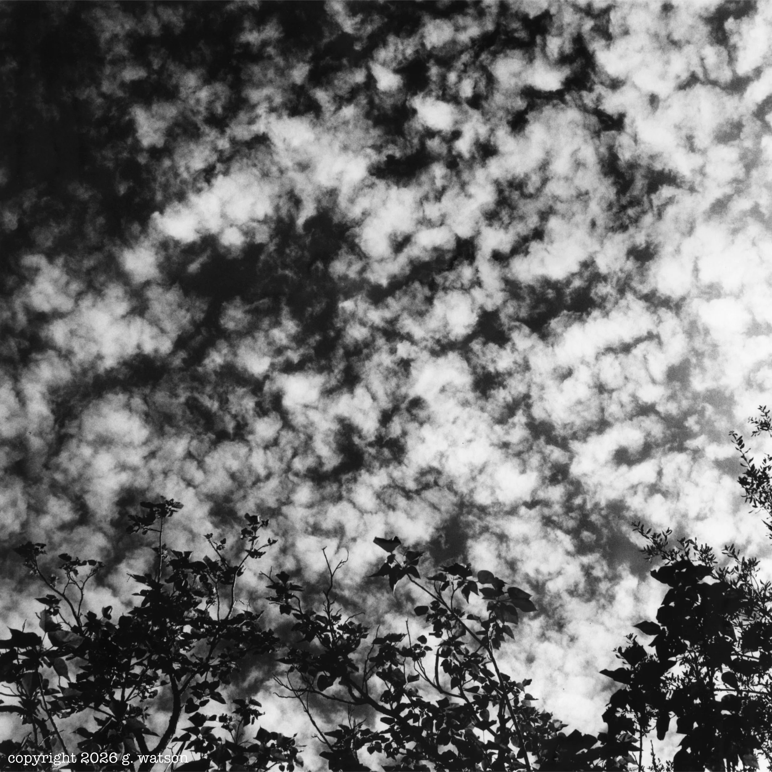 I've come to realize that clouds are the way the sky expresses its moods...whimsically wispy, broodingly dense, angrily dark, boastfully cumulus, or sometimes just complicated and scattered. Clouds are never the same from one second to the next. How 