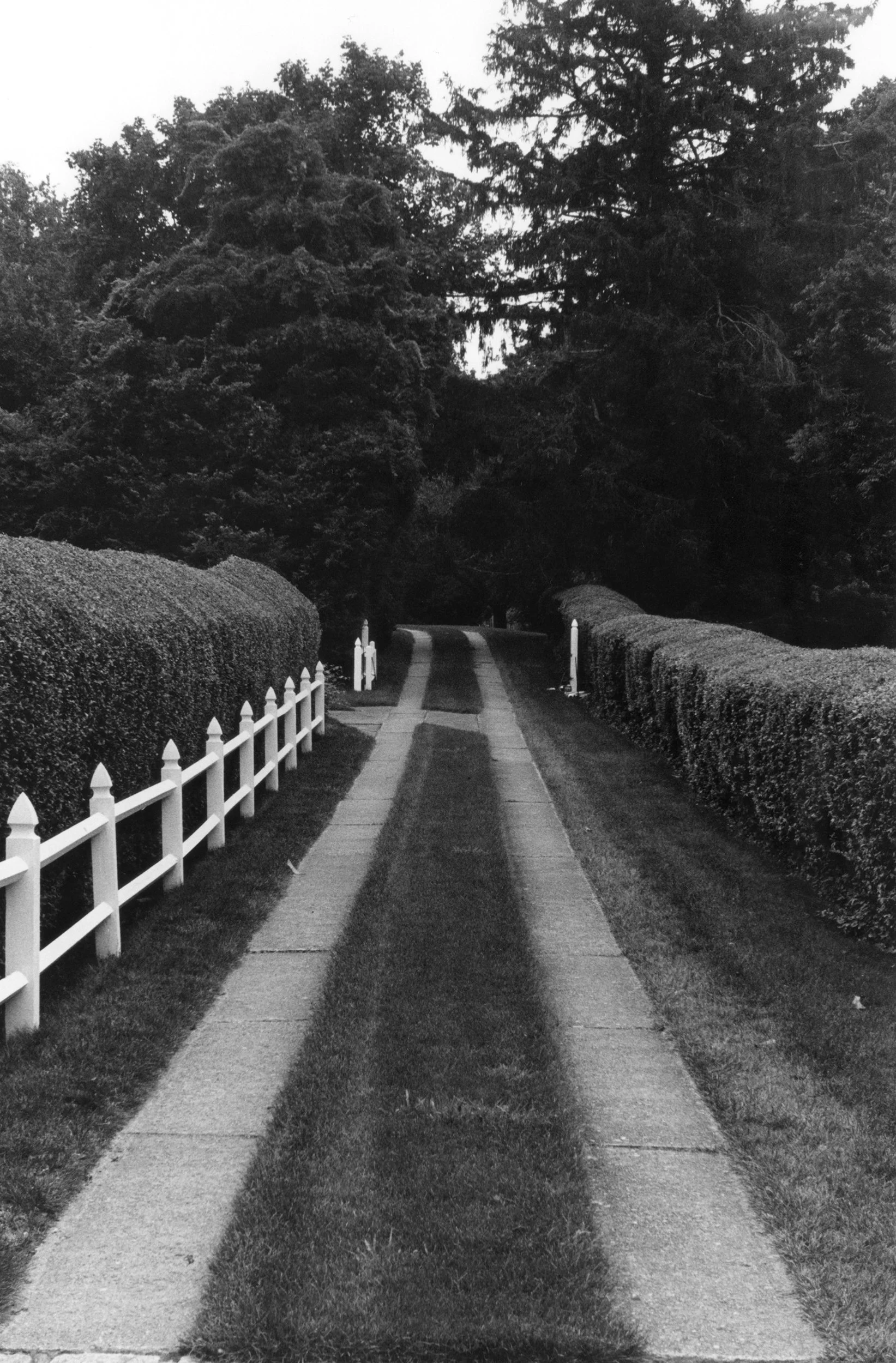 Cape Cod, Mass. 