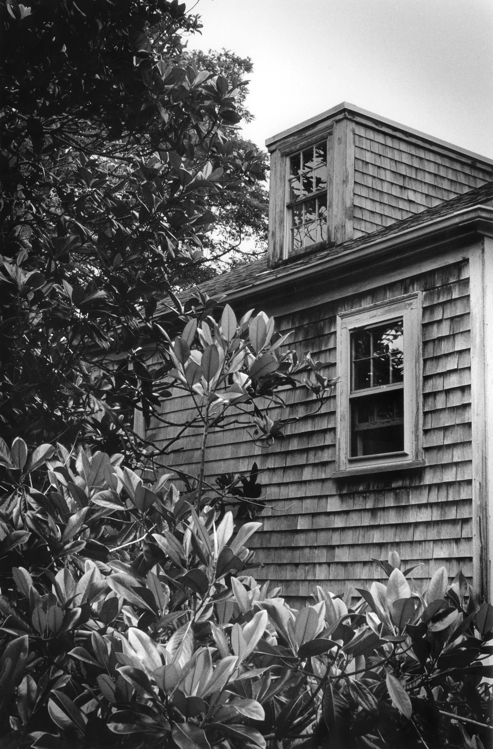 Behind the Gorey House