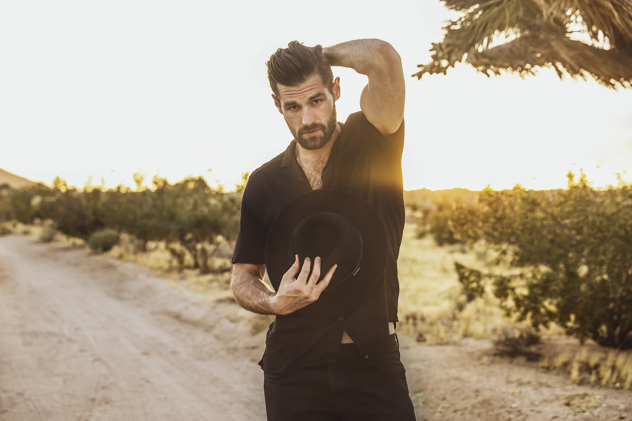 DavidTerry_Sunset.jpg