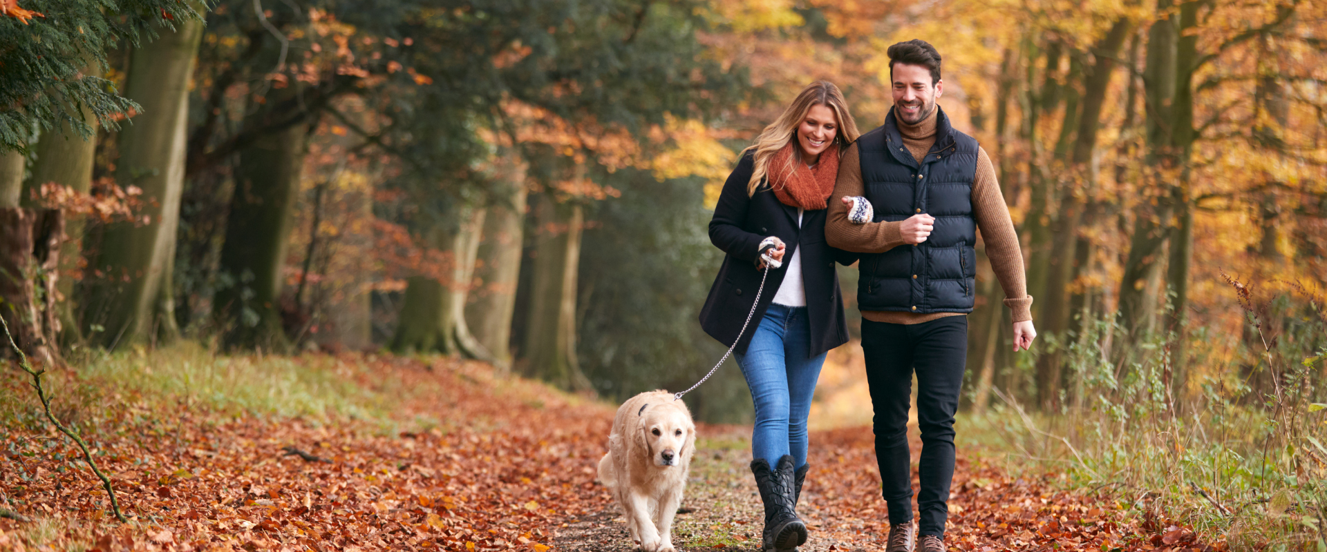 Virtual  Counseling.png