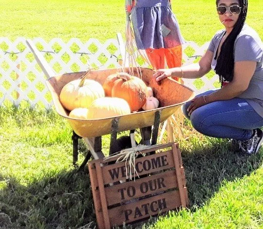 Family Fun Harvest Pumpkin Patch Photo Diary