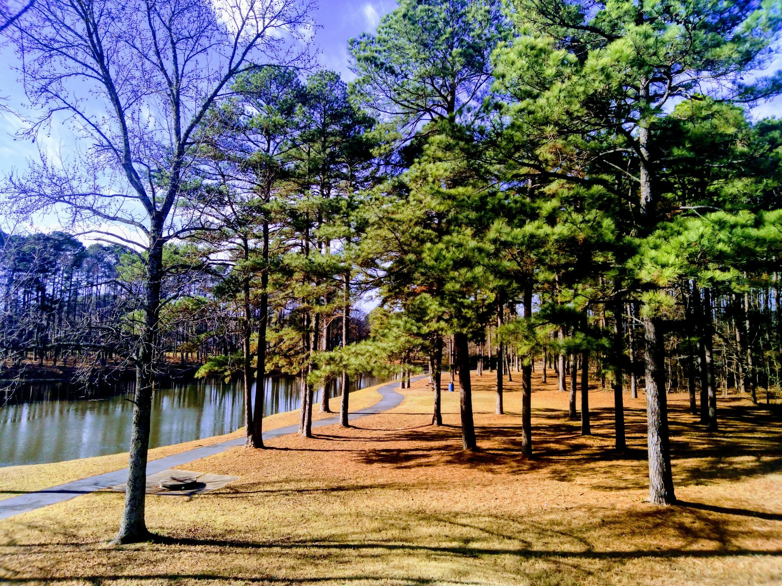 35 Pictures That Will Make You Fall In Love With Lake Willastein In