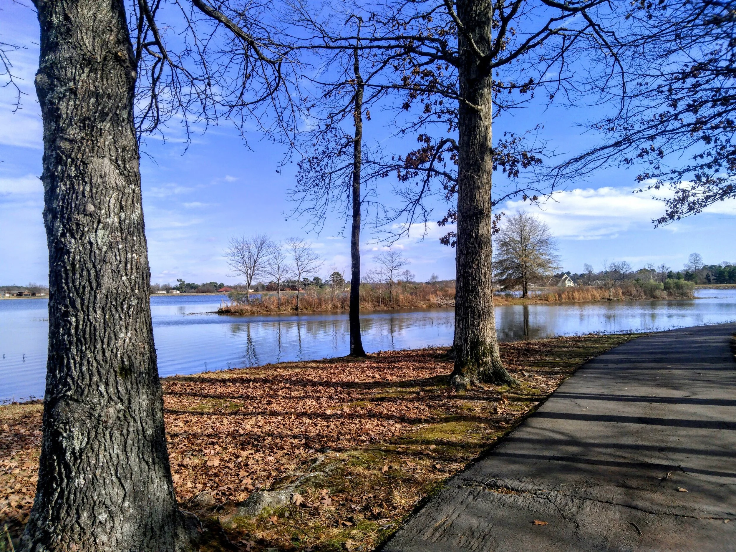 35 Pictures That Will Make You Fall In Love With Lake Willastein In