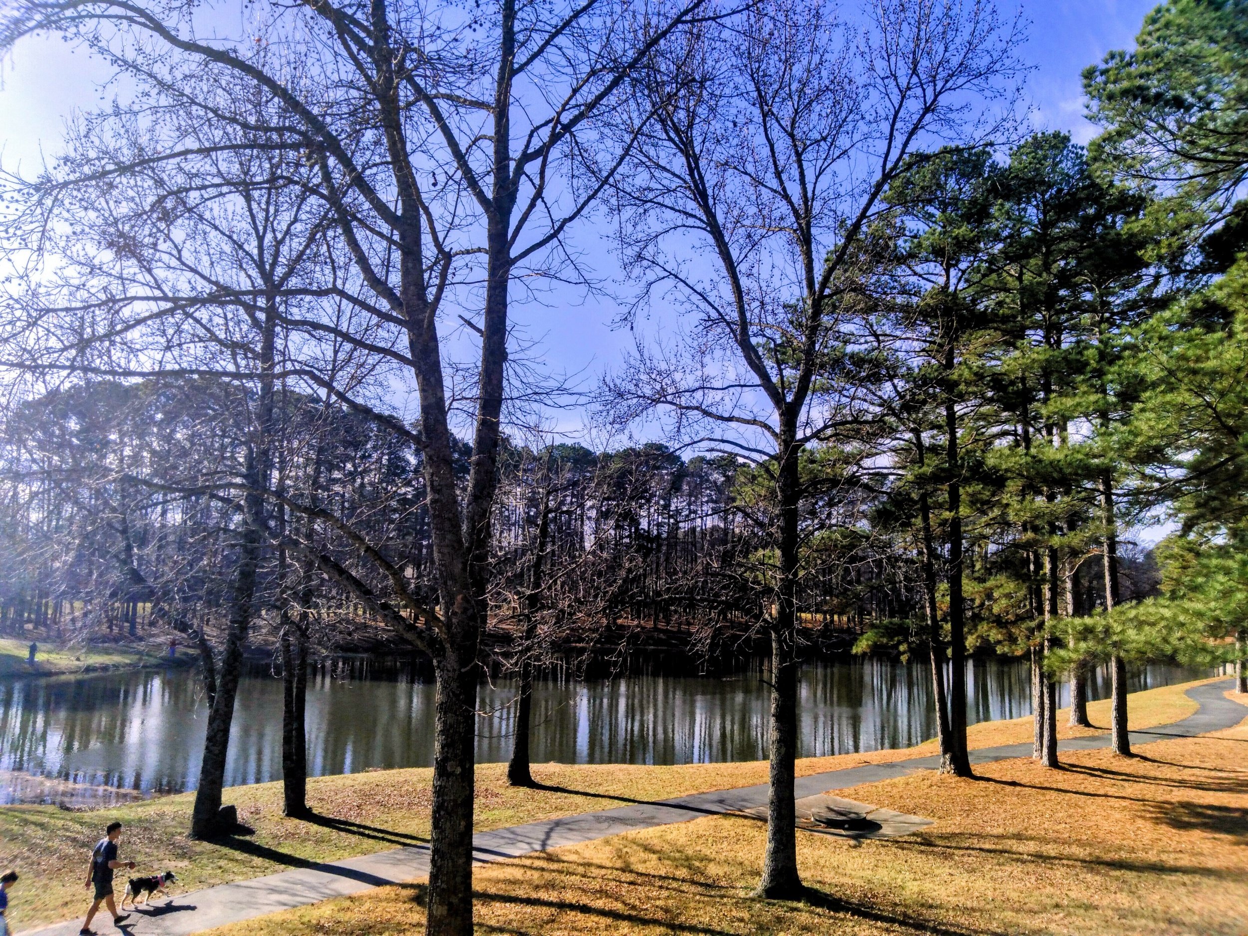 35 Pictures That Will Make You Fall In Love With Lake Willastein In