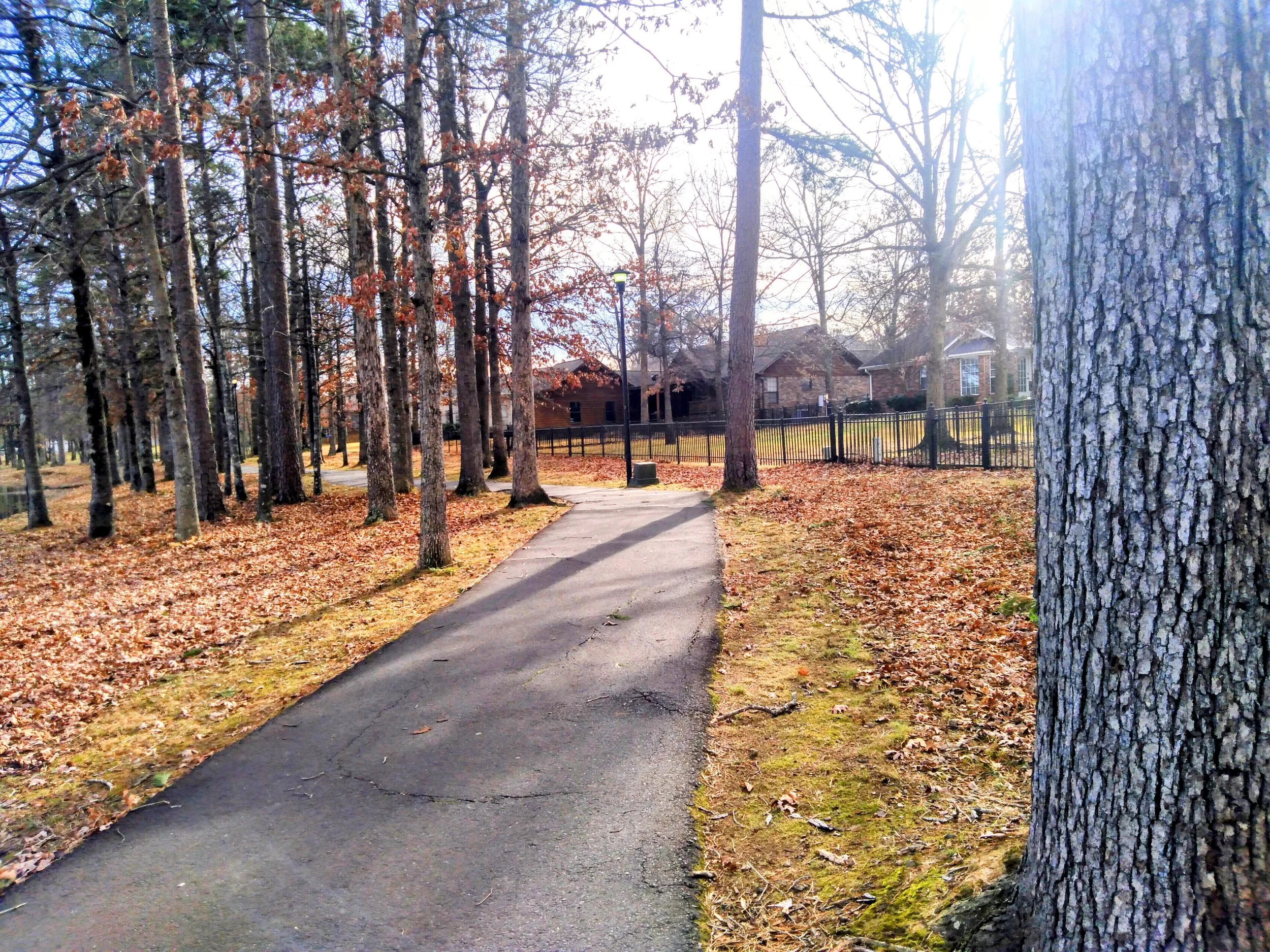 35 Pictures That Will Make You Fall In Love With Lake Willastein In