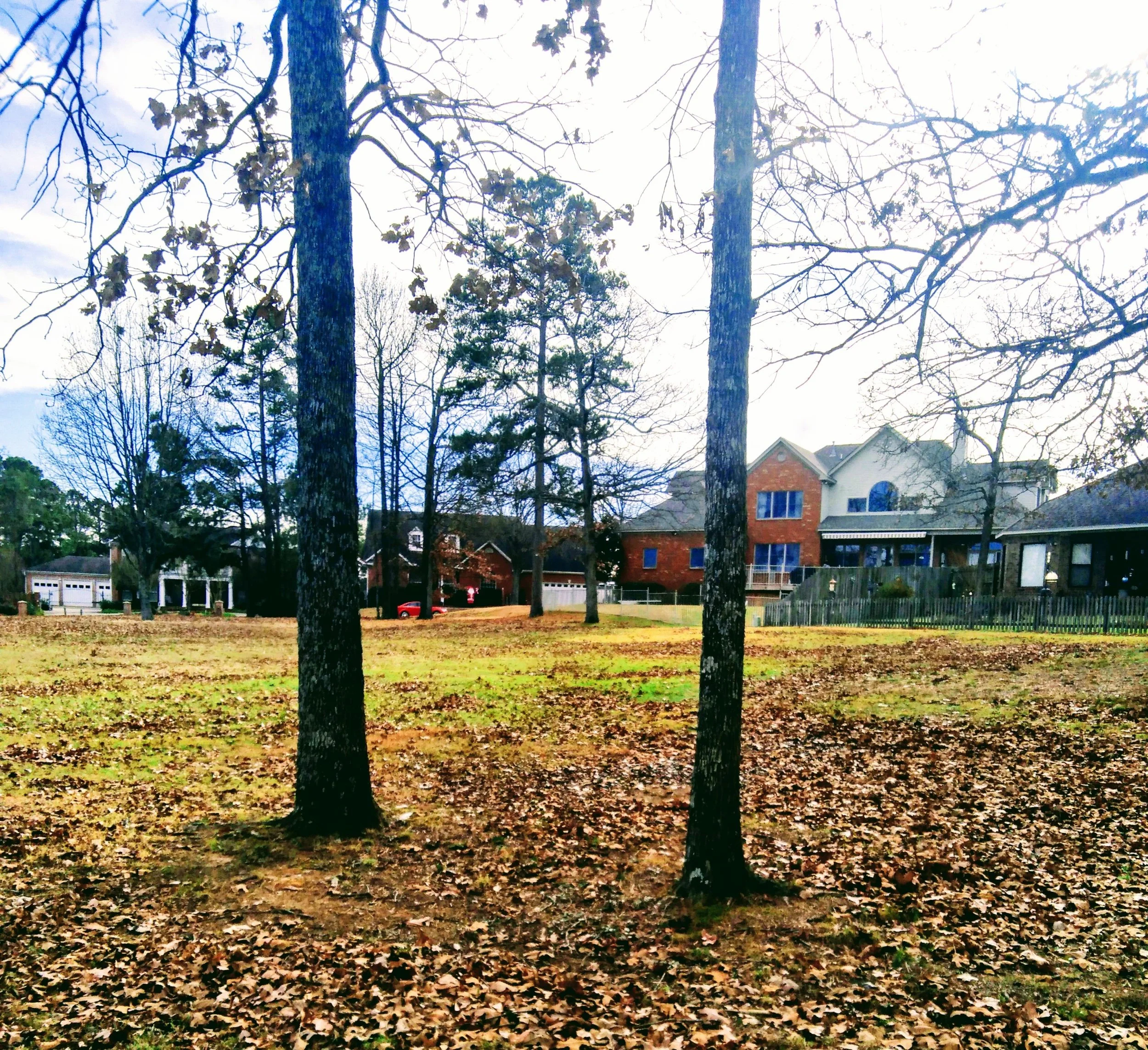 35 Pictures That Will Make You Fall In Love With Lake Willastein In