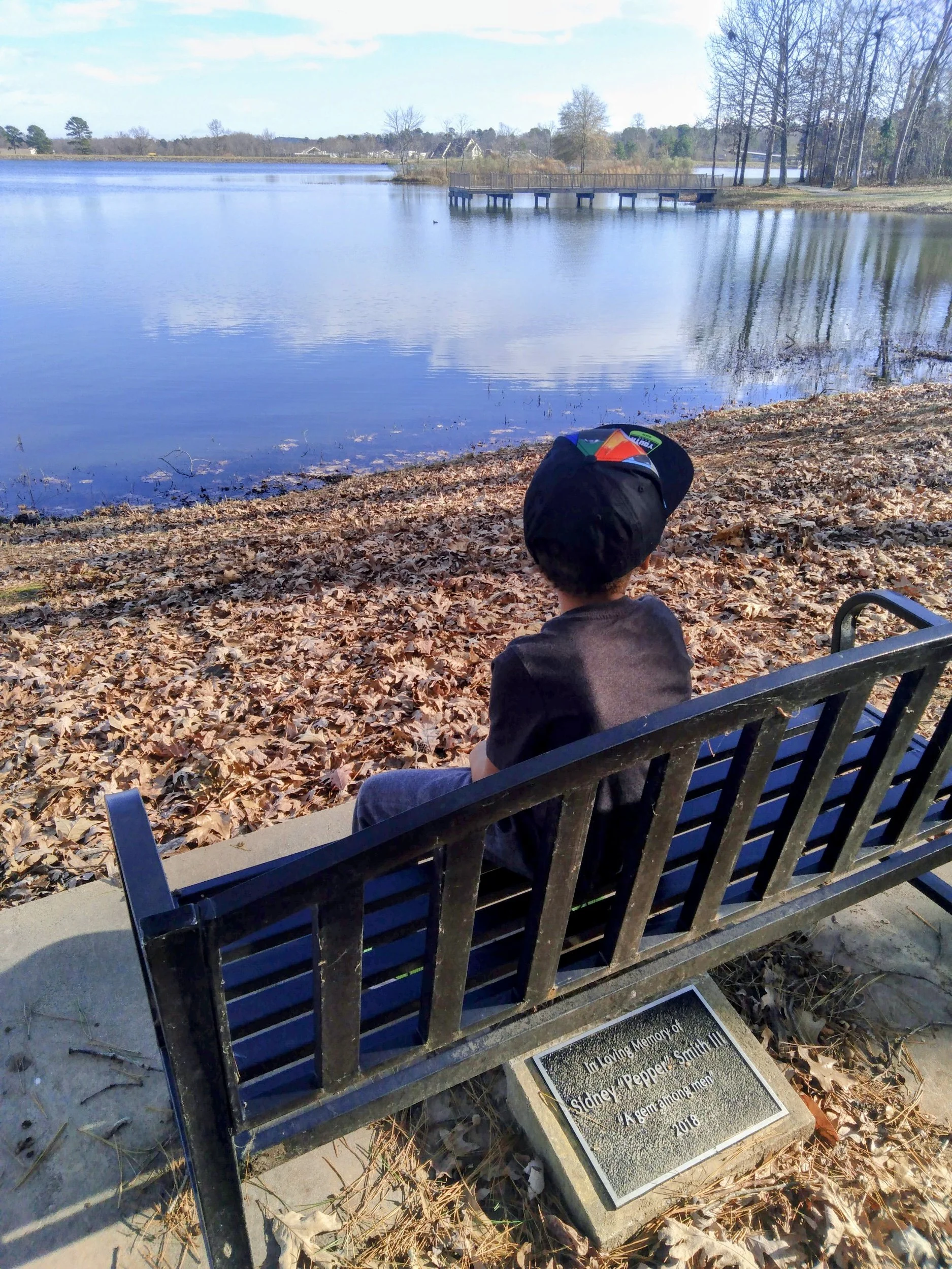 35 Pictures That Will Make You Fall In Love With Lake Willastein In