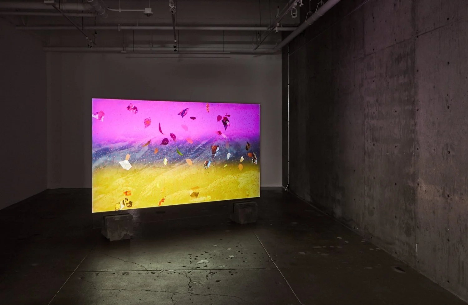 Shadowtime, Gallery Wendi Norris, San Francisco, 2017 Mixing Dusts, 2017, Hybrid Film Installation, digital video, BD-R projection on glass, 8min.33sec, Photography by Johnna Arnold