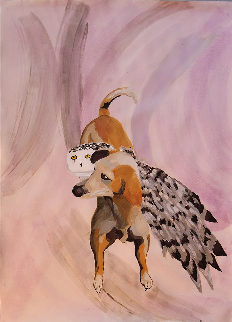 dogowl2.jpg