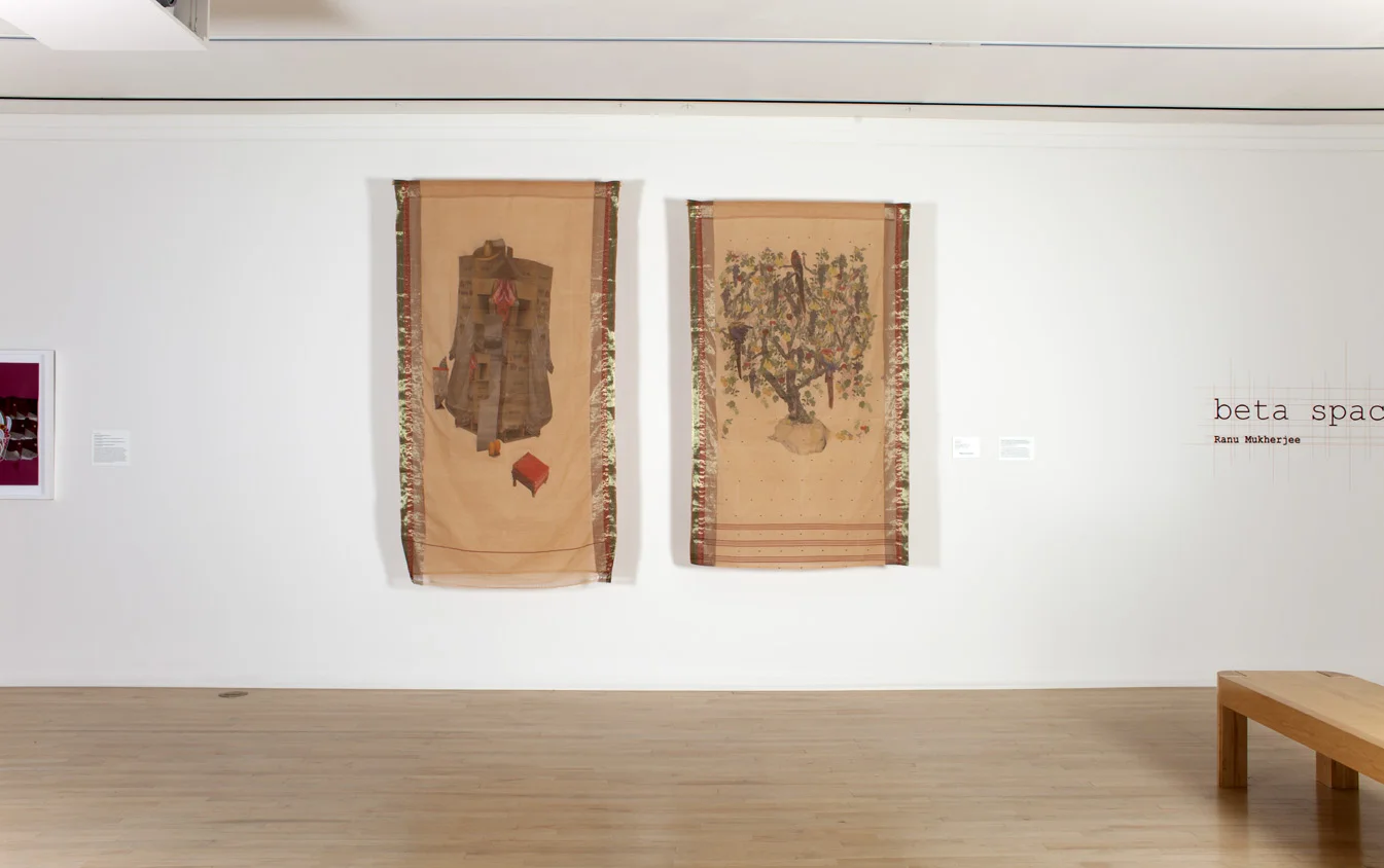 Beta Space: Ranu Mukherjee: Telling Fortunes San Jose Museum of Art, 2012
