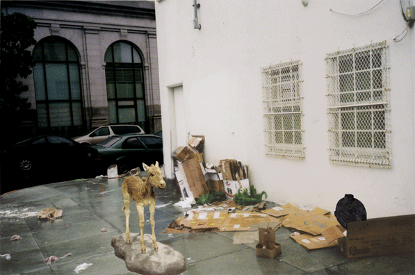 cardboard,quagga,anarchistbomb.gif