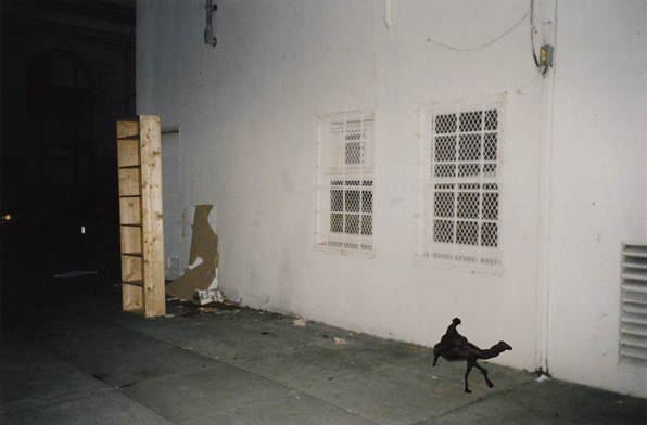 shelves-disappearing-camel.gif