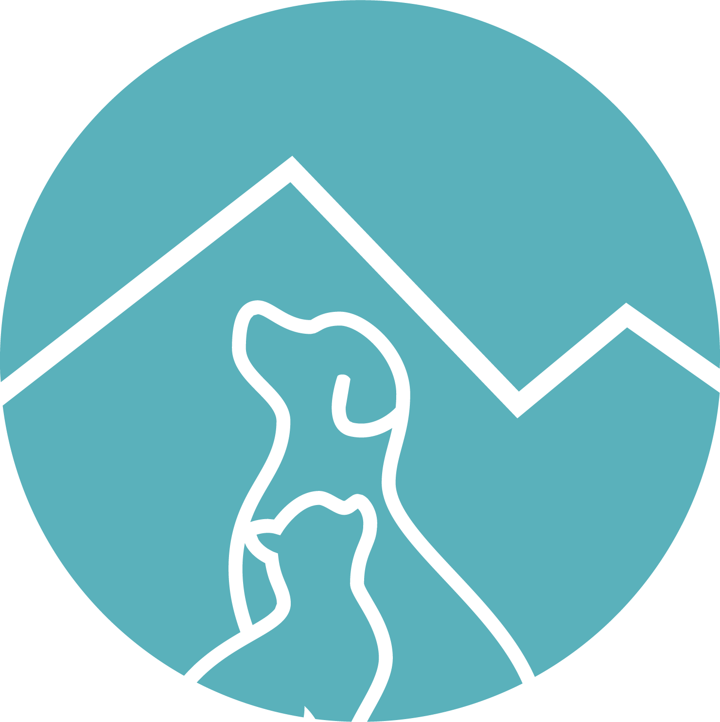 Team Tools — Front Range Freedom Rescue
