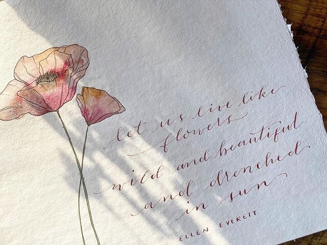 Happy International Women&rsquo;s Day! Cheers to all the amazing women in my life! 🥂 #iwd2020 #handlettering #calligraphy #watercolor #poppy #flowers
@lindslovesbird