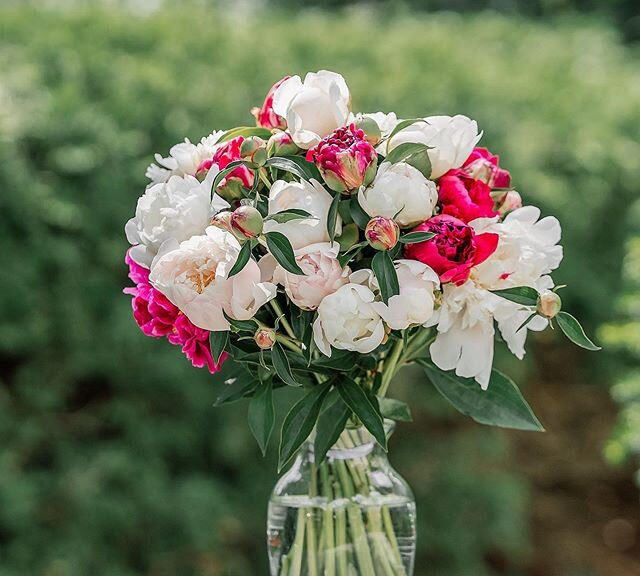 Been working on the &ldquo;spiral method&rdquo; of creating bouquets. Thanks to some tips from @jaysonmunndesign I am thrilled with how this one came out! . . .
Photo: @saldenalie 
#bouquet #peonies #vtgrown #spiralmethod #flowers #projectpeony #cont