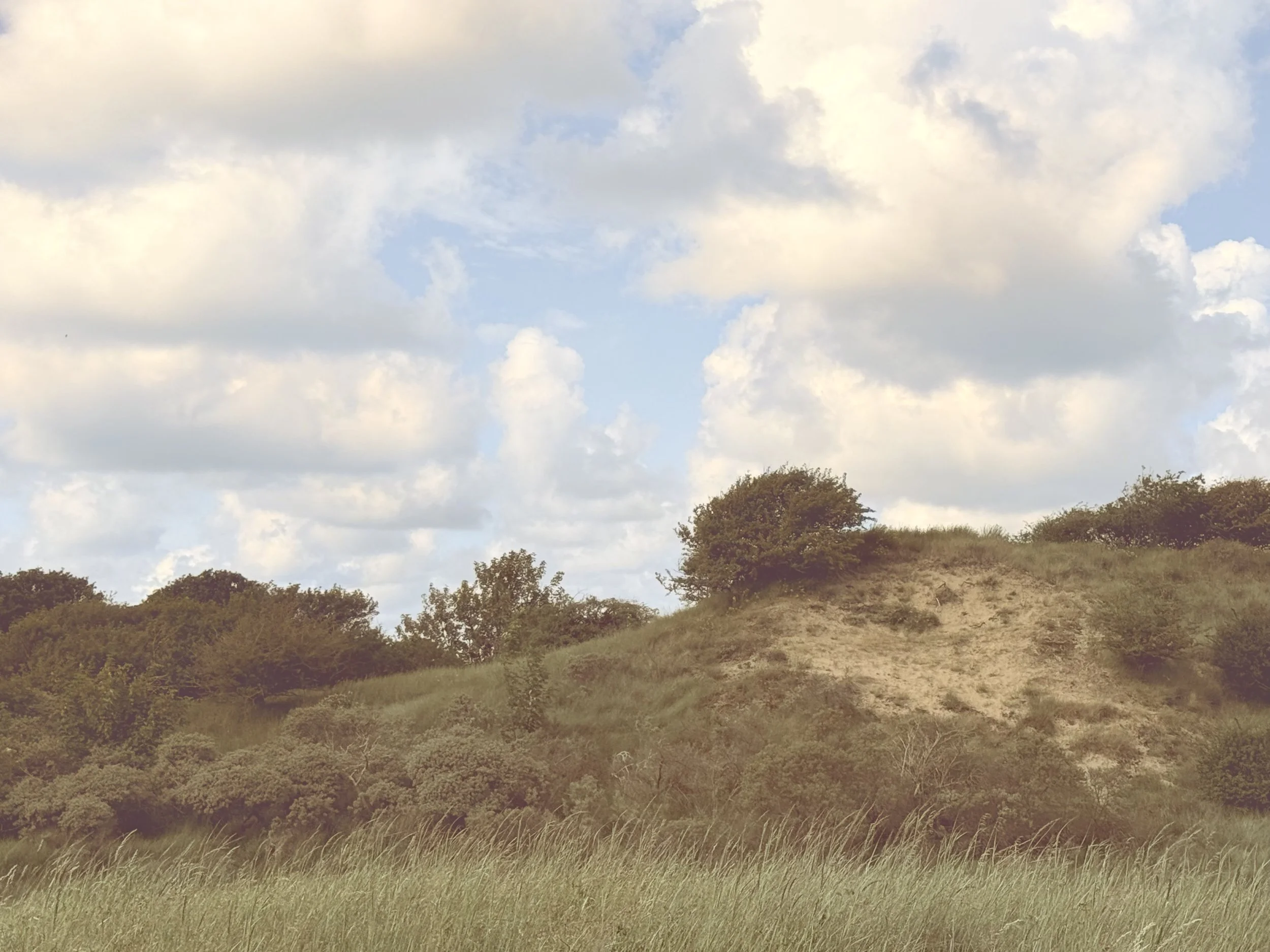 Photo Walk: From the Dunes to the Sea