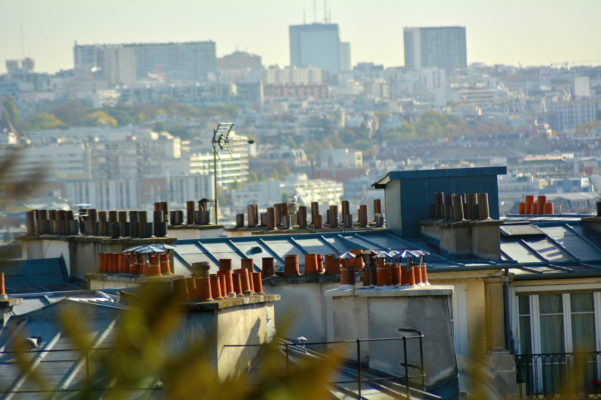 Blog - Paris - Montmartre Rooftops2.jpg