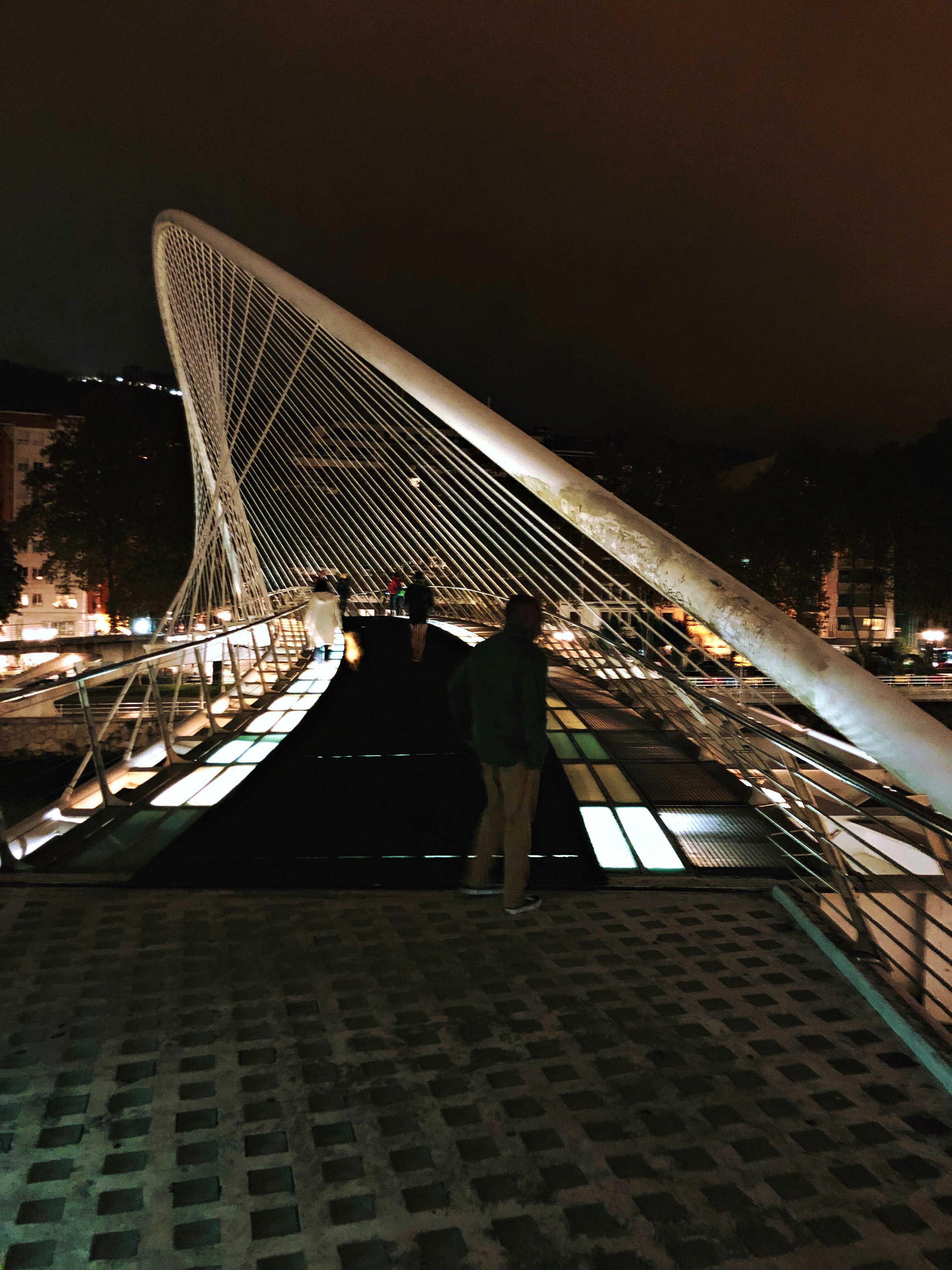 Blog - Bilbao - Zubizuri at night2.jpg