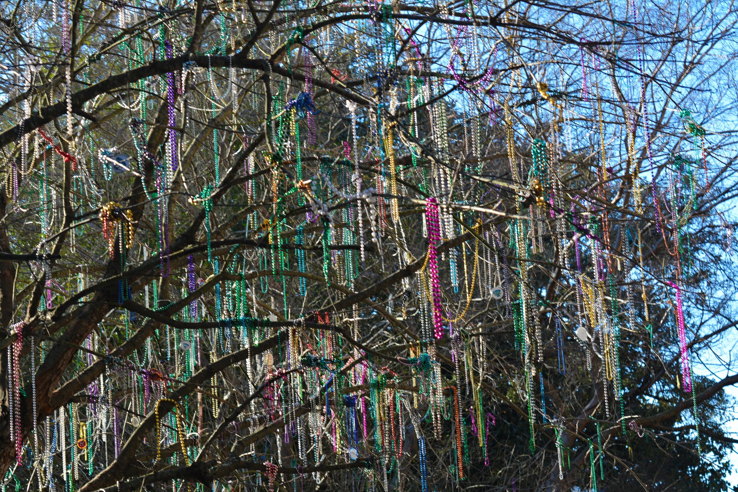 New Orleans - Mardi Gras Beads (1).jpg