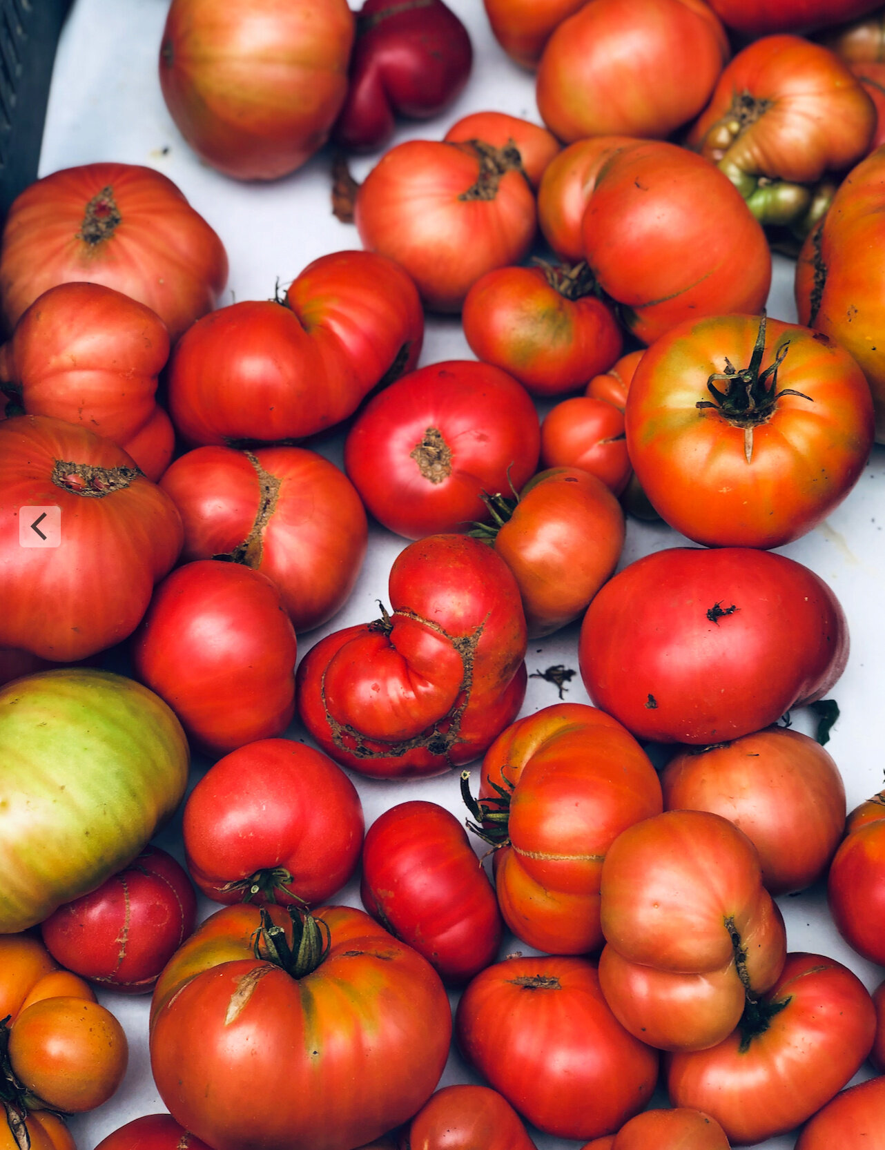 Blog - Carmel - Farmers Market Tomatoes.jpg