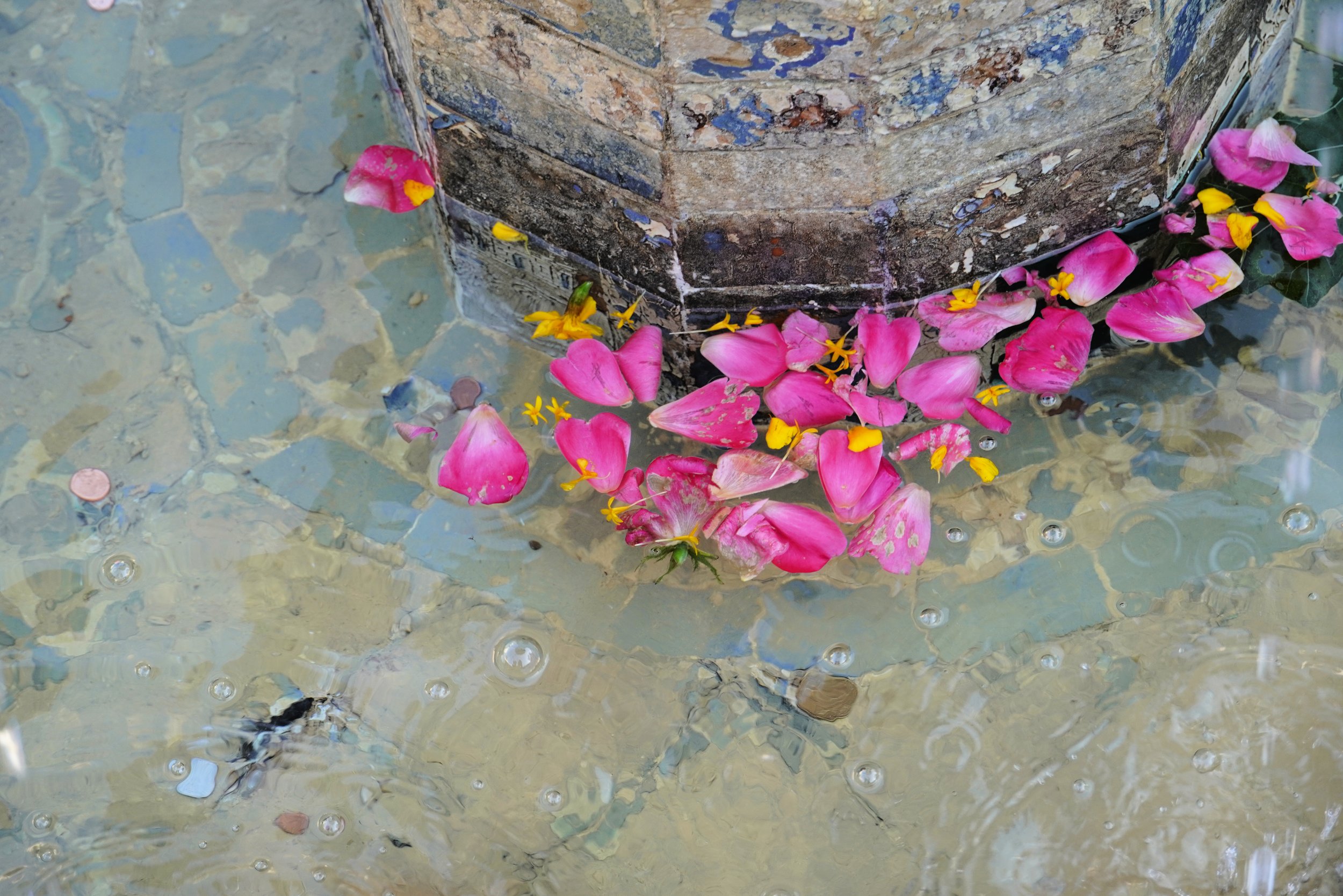 Sevilla - Casa Pilatos Rose Petals.jpg