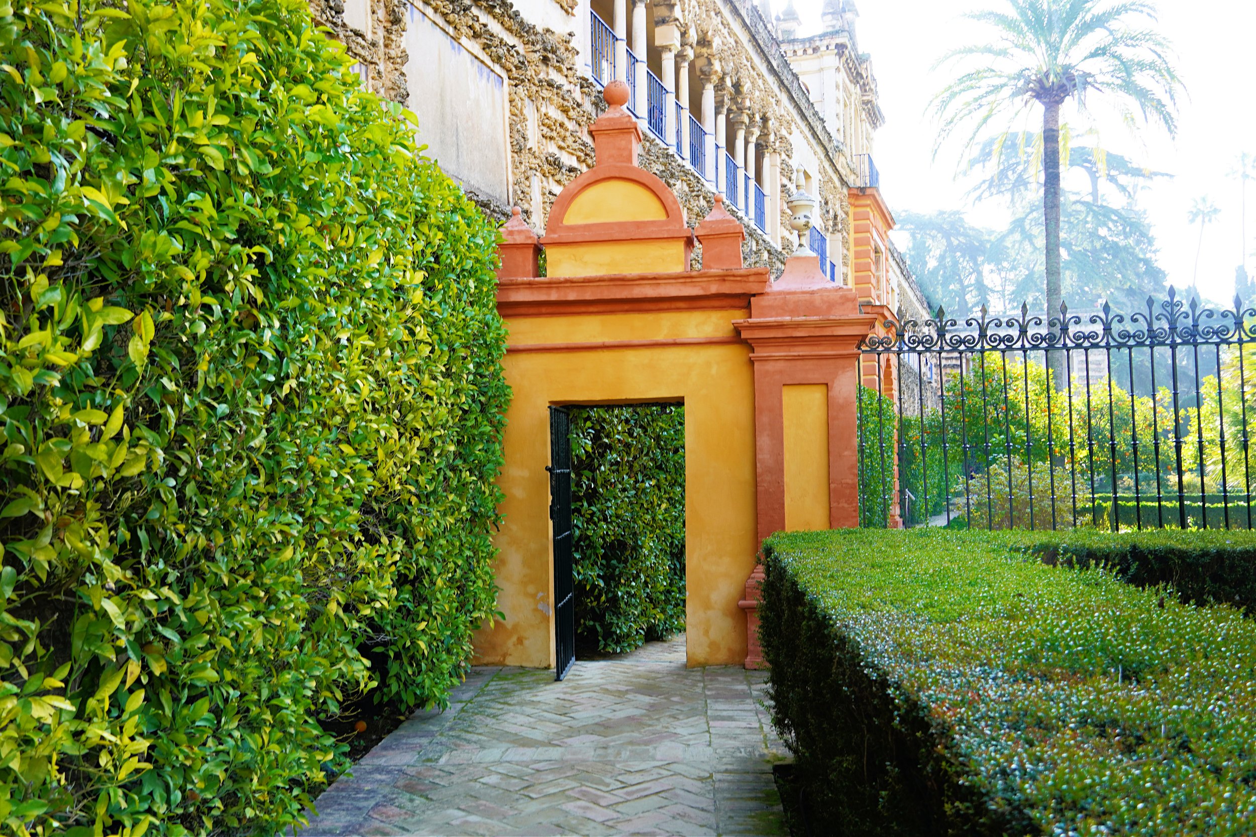 Sevilla - Royal Alcazar Garden5jpg.jpg