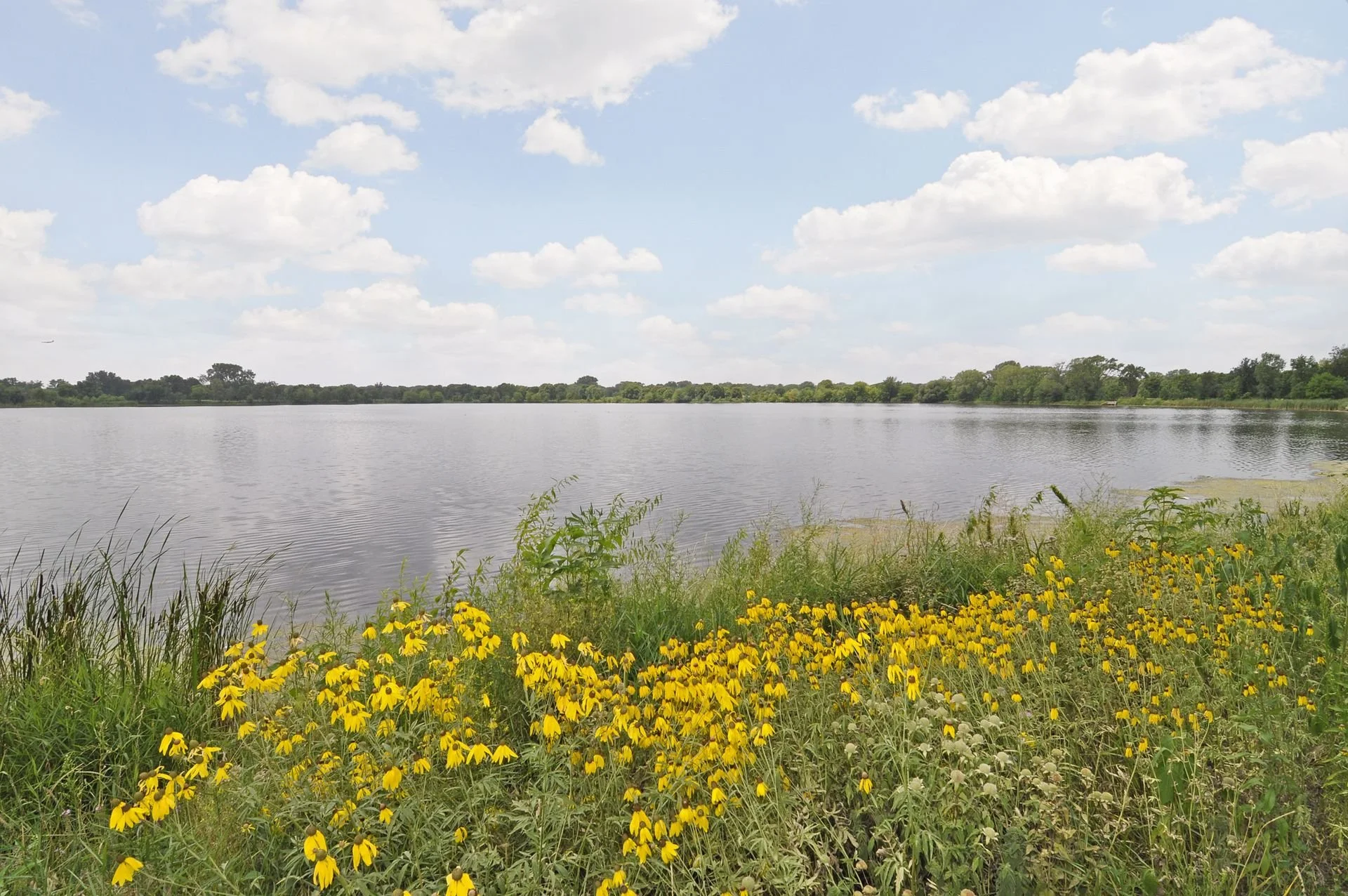 40 Lake Hiawatha Park.jpg