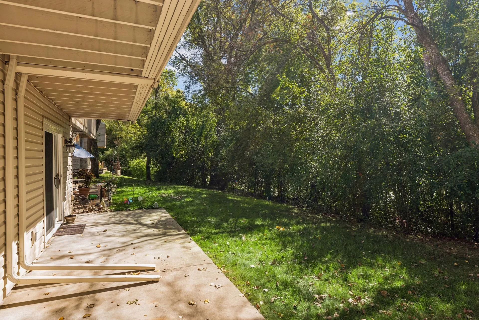 17 Back Yard.jpg