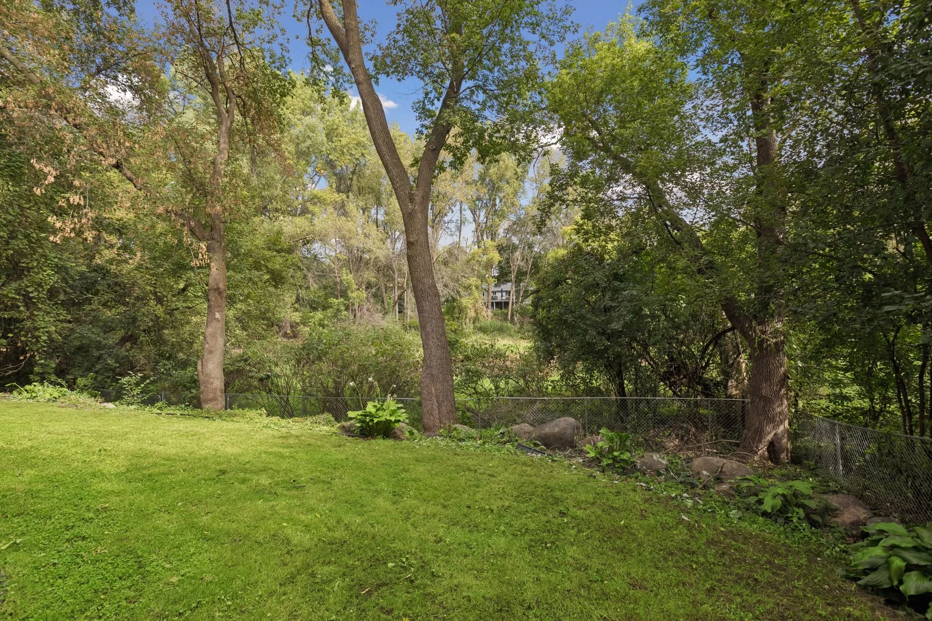31 Back Yard.jpg