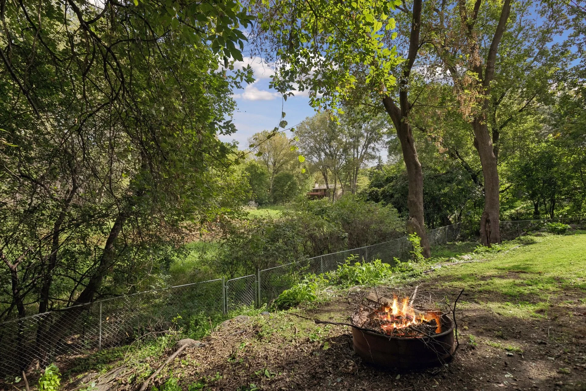 32 Back Yard.jpg