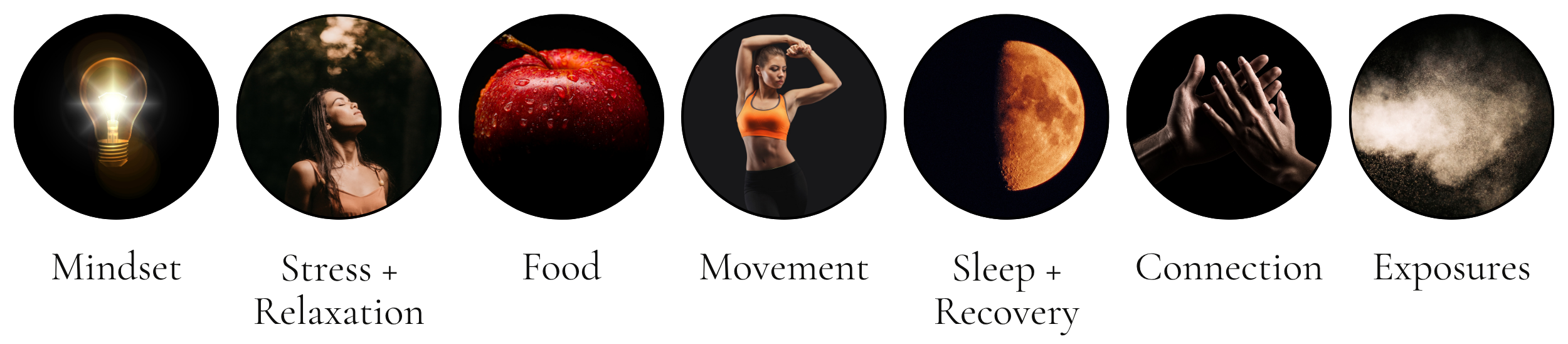 Modifiable Lifestyle Factors: Mindset, Stress, Food, Movement, Sleep, Recovery, Connection, + Environmental Exposures