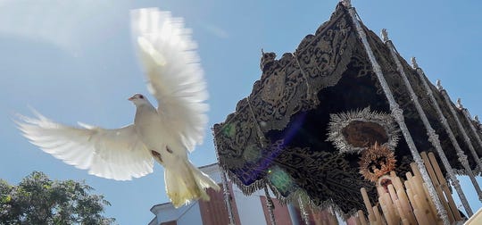 A dove is part of Easter festivities in Seville, Spain, on Holy Tuesday, April 16, 2019. (Photo: Jose Manuel Vidal, EPA-EFE)