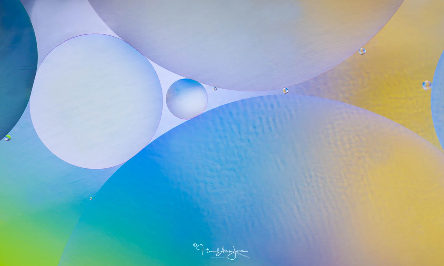 Oil & Water