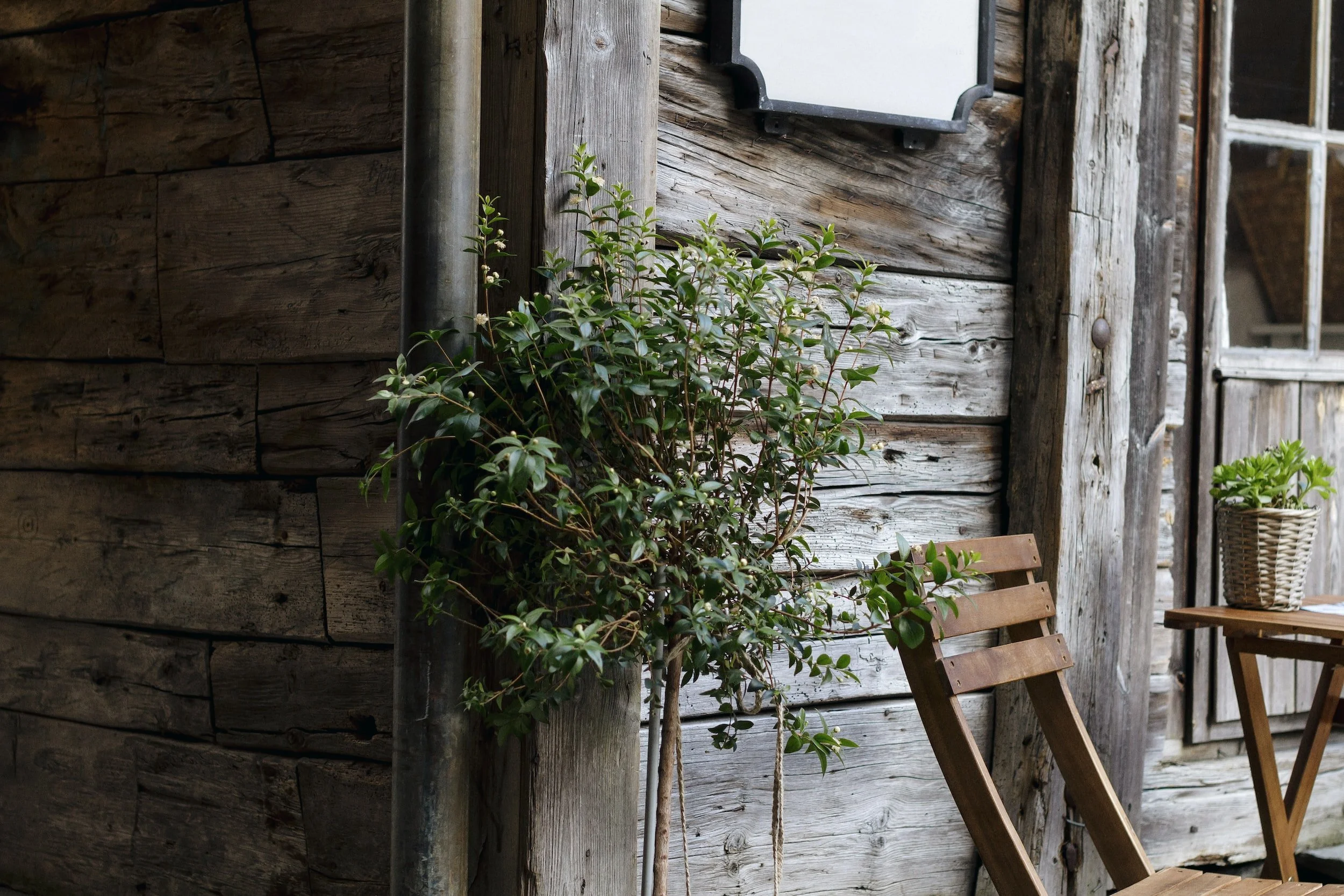 unsplash-image-F5AnwIY75t8.jpg