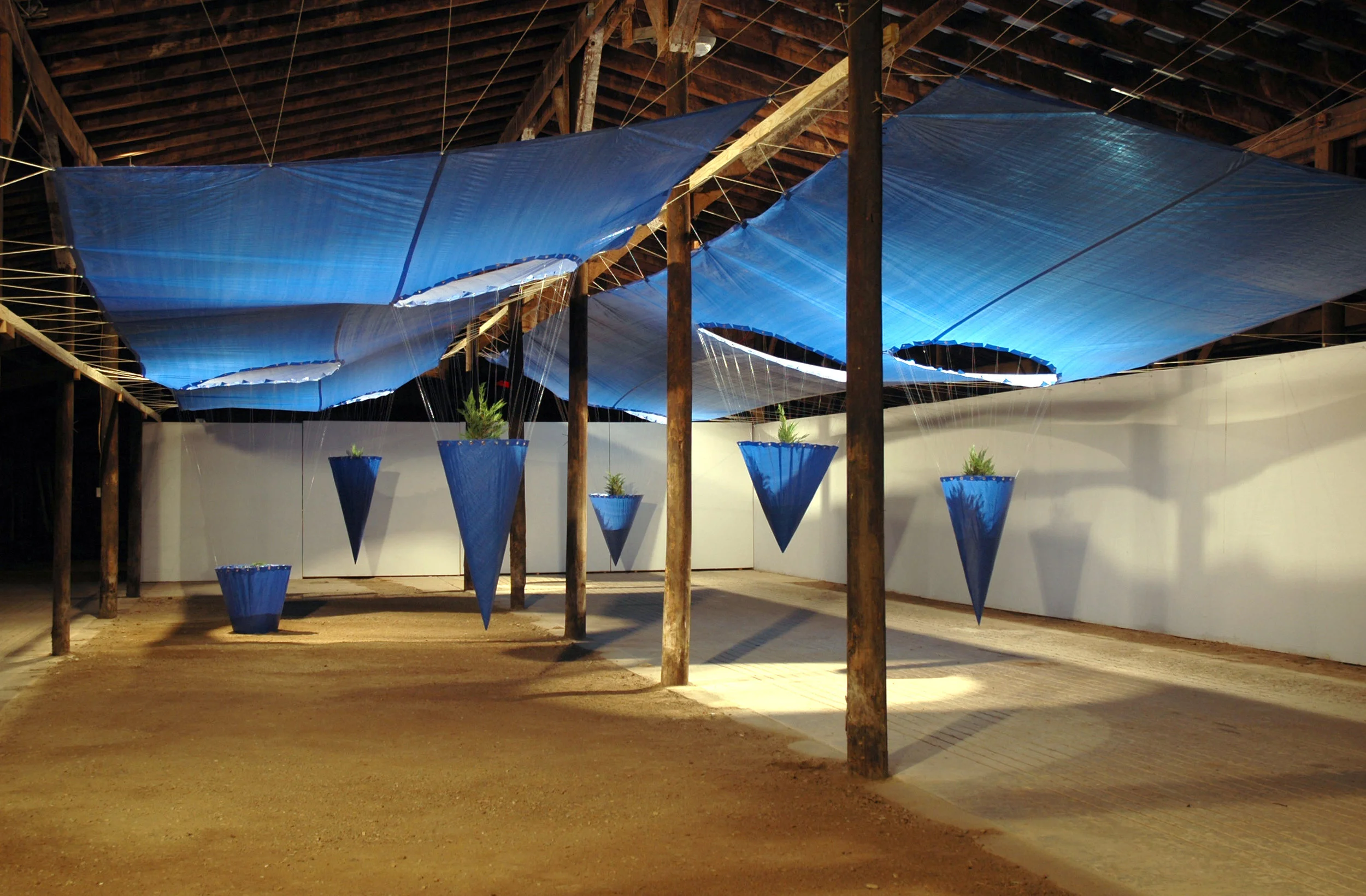 Threshold II / 2011 / Tarp, grommets, rope, monofilament, soil, cypress trees / 10' x 30' x 60'