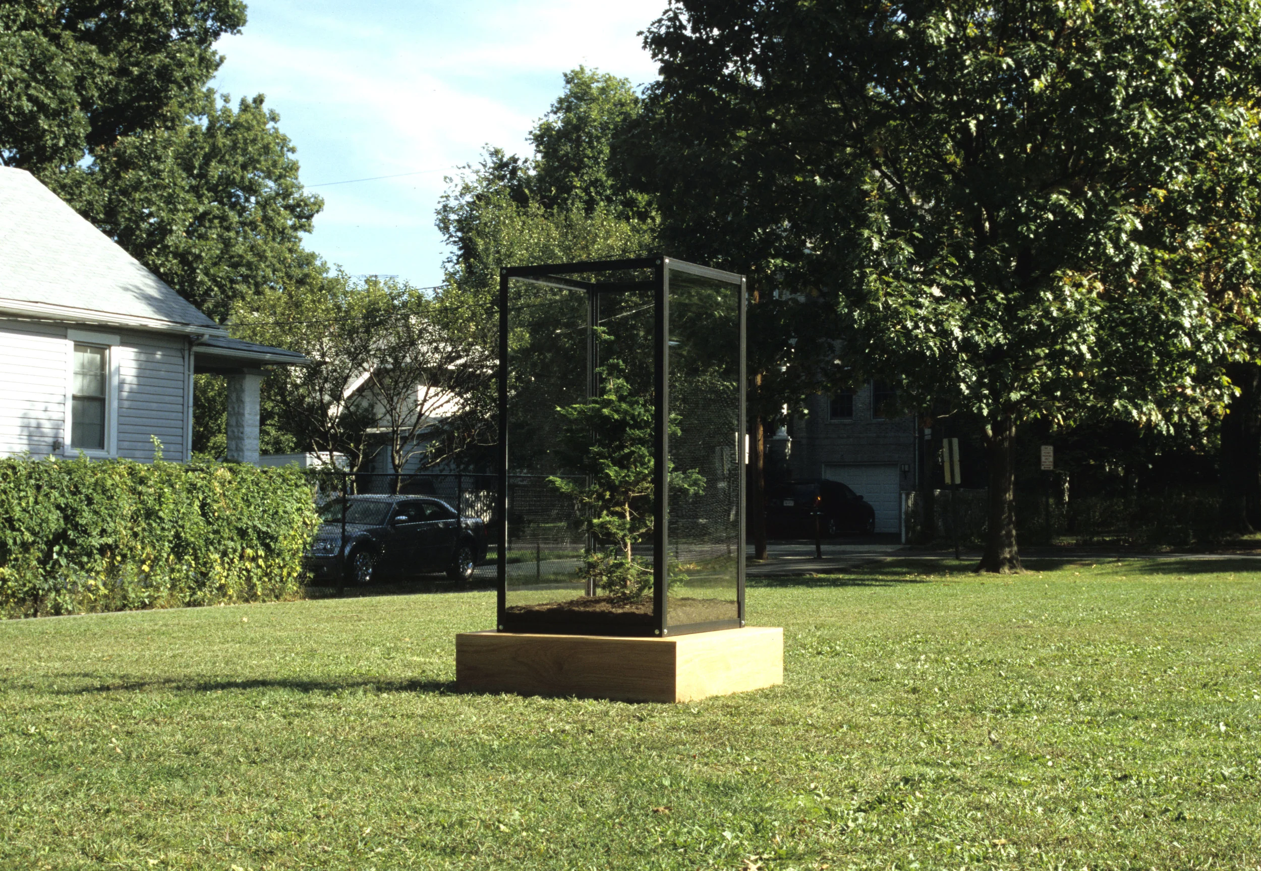 Deciduous Collective / 2006-07 / Wood, steel, acrylic, soil, cypress tree / 7' x 4' x 4'