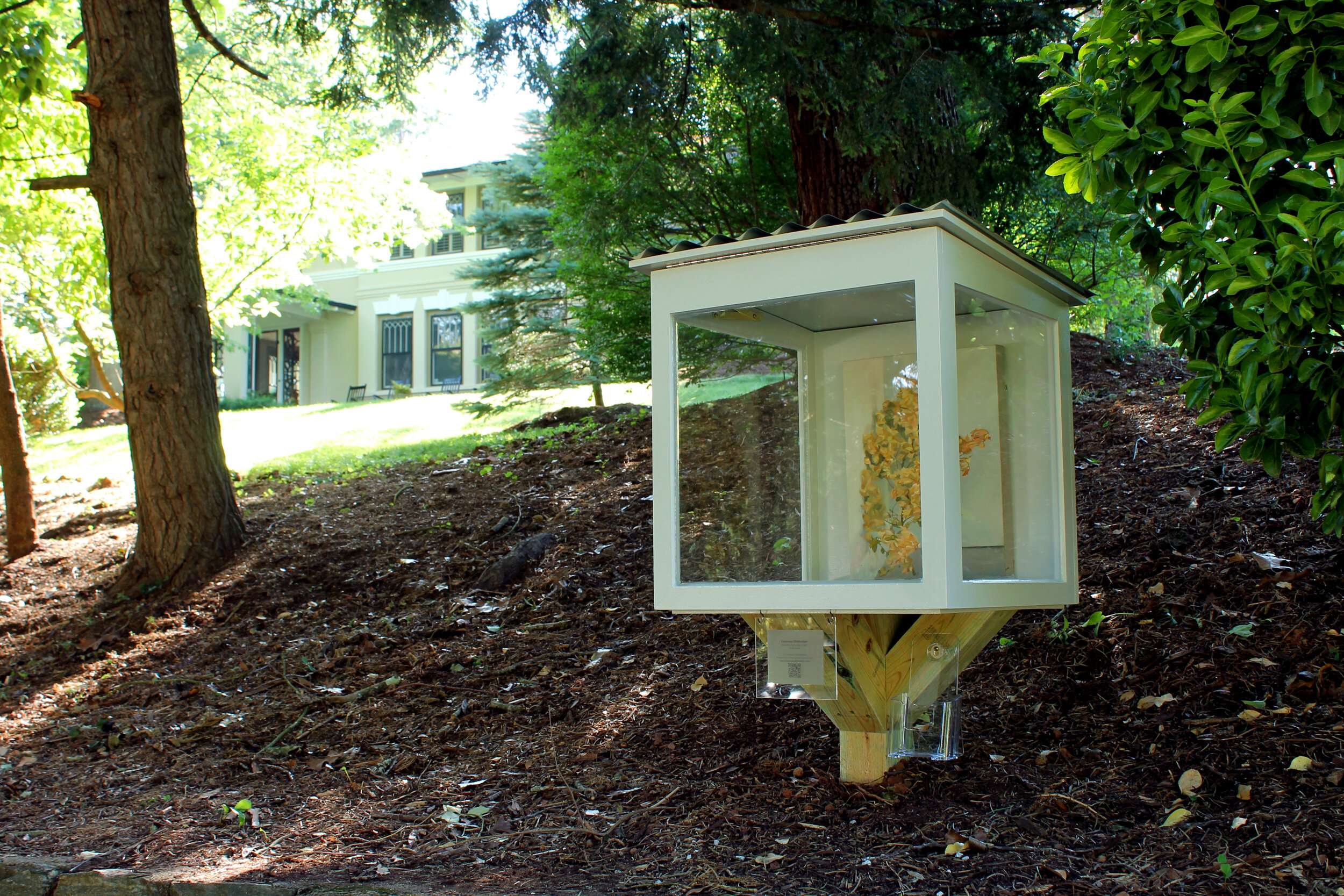 76 Gertrude Place / Suzanne Dittenber / Branches (end-stop) / Oil on linen