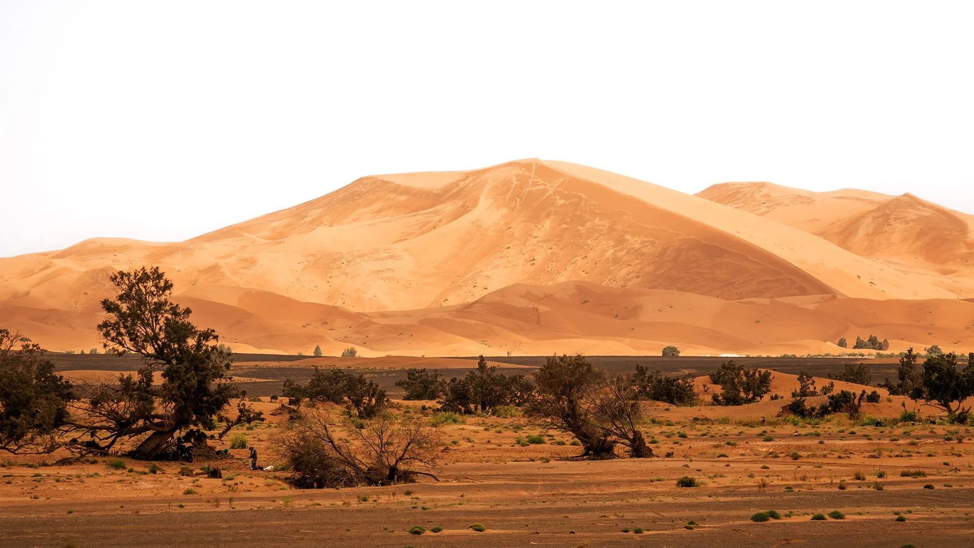 Moroccan Sahara