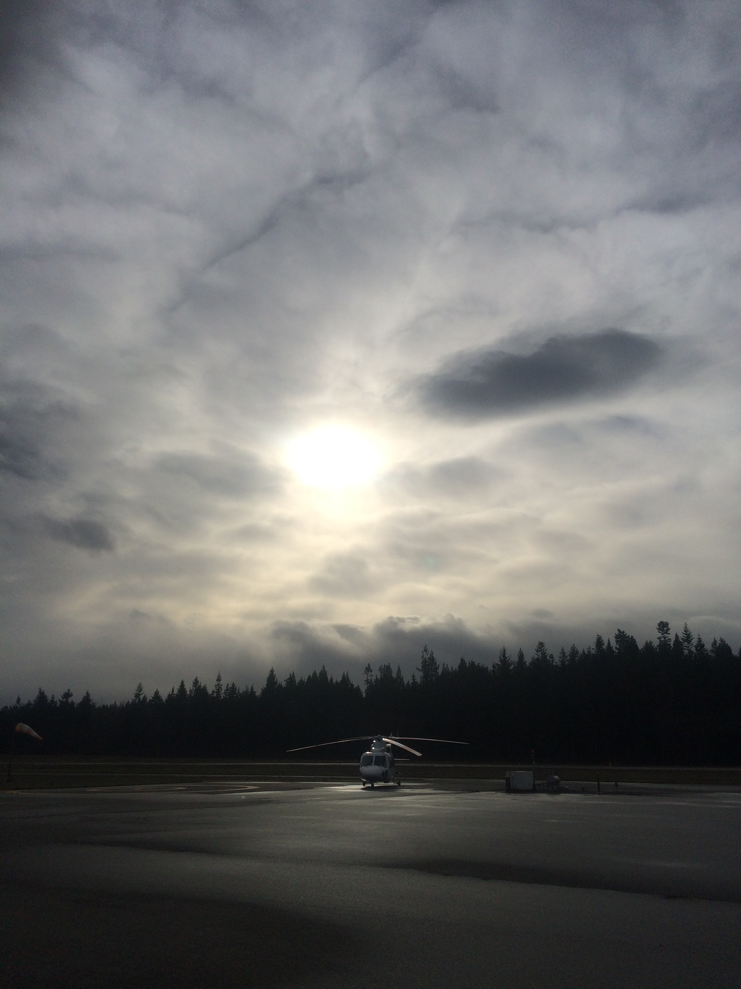 Nest Flight Testing 2.JPG