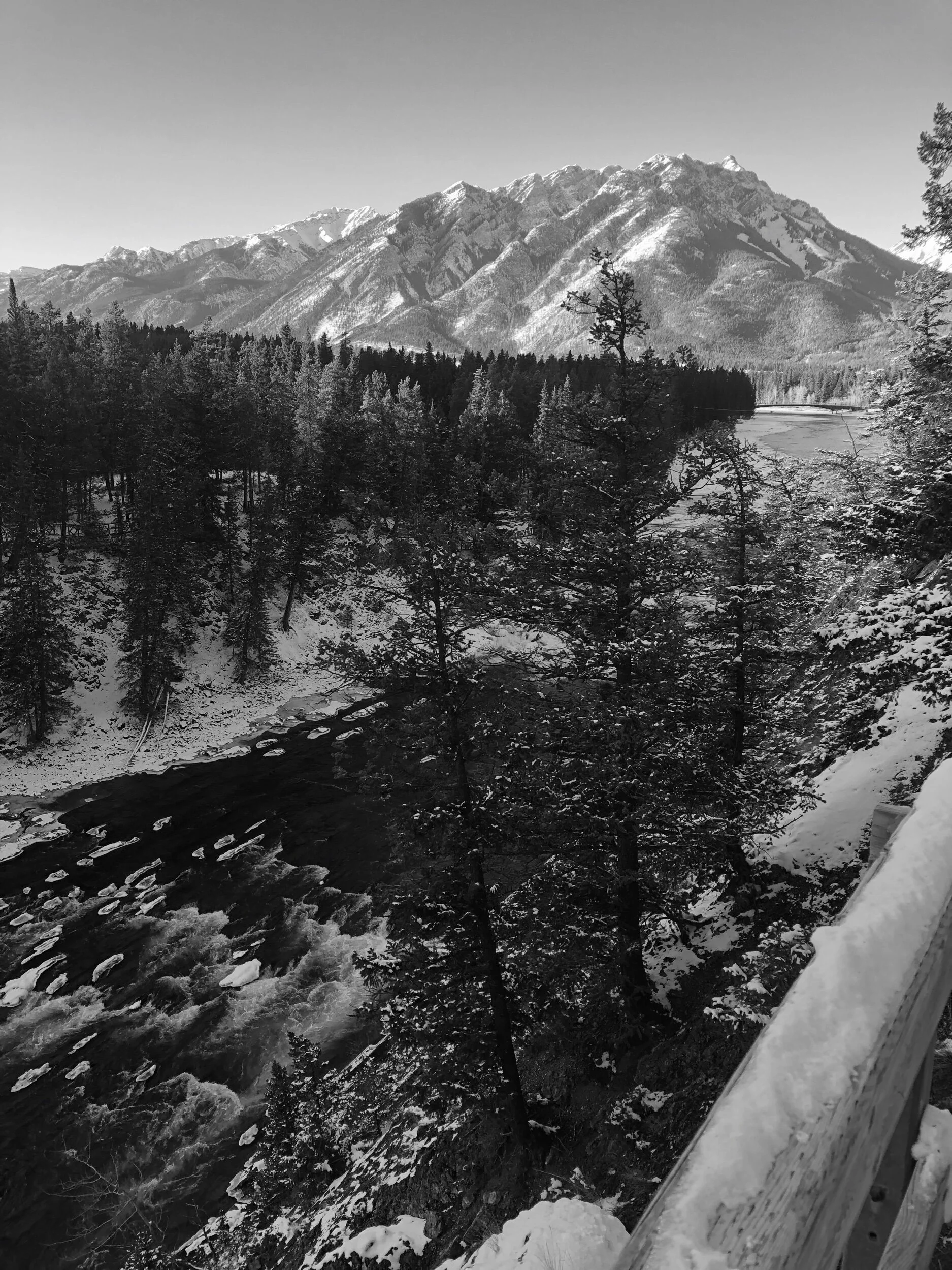 Human Design - Generators