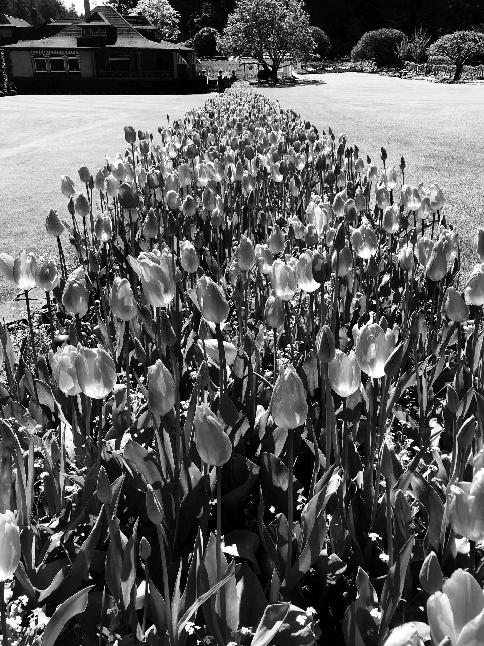 Embrace your Archetypes &amp; Transform