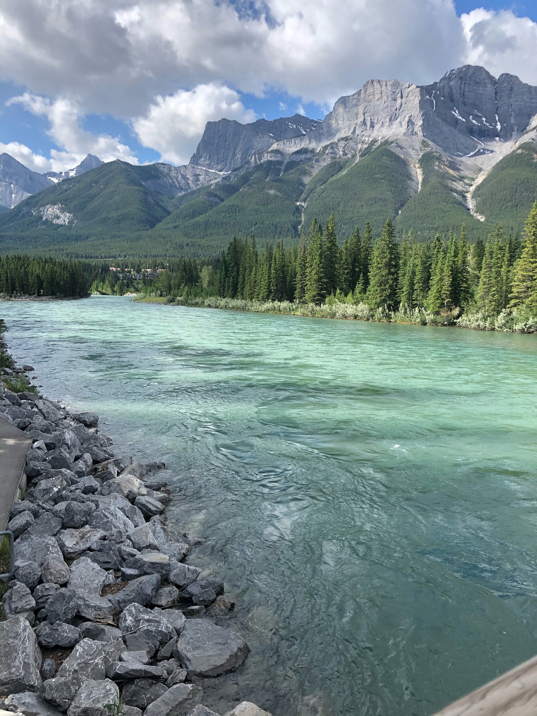 Human Design - Manifesting Generators