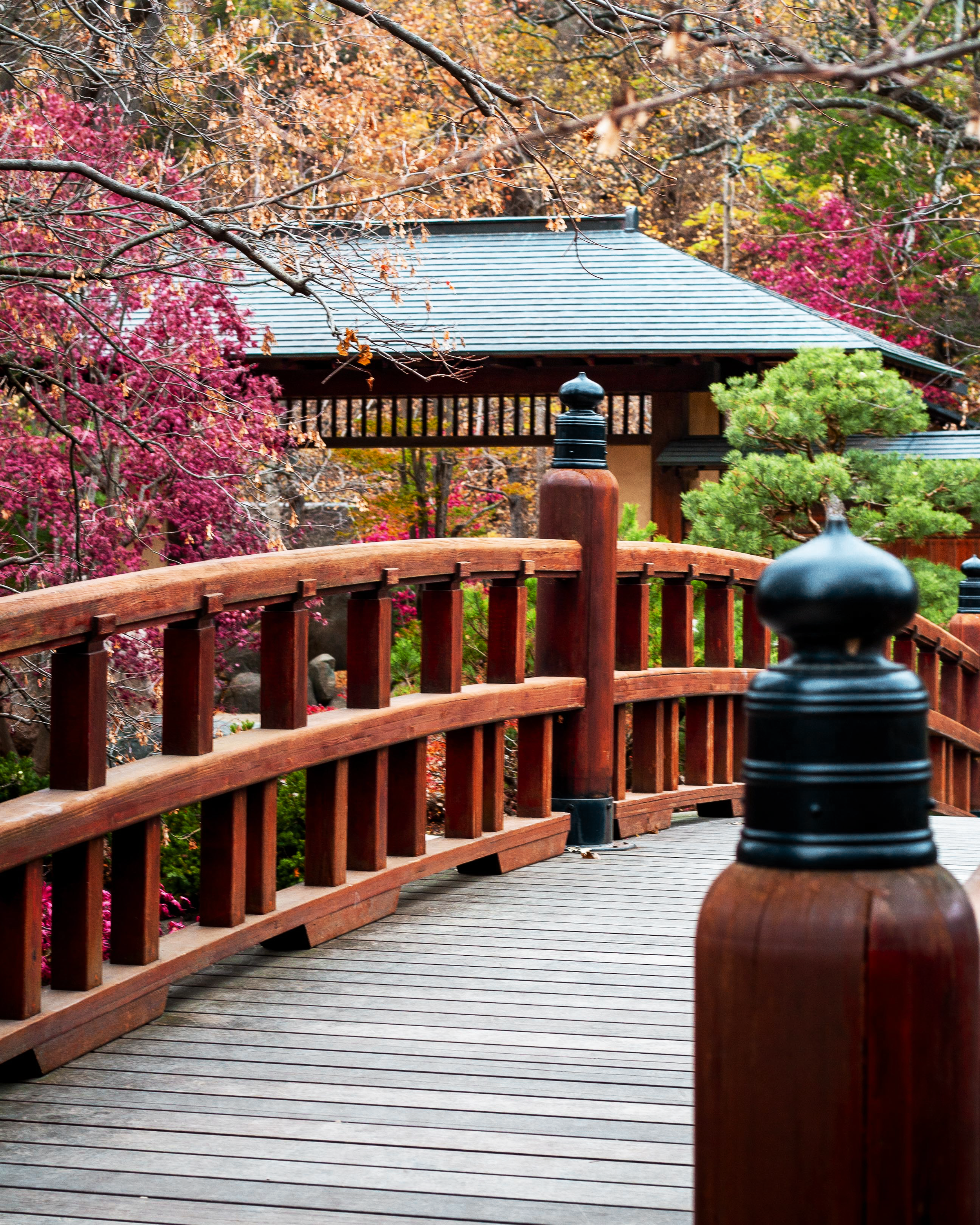 Anderson Japanese Gardens, Illinois, USA