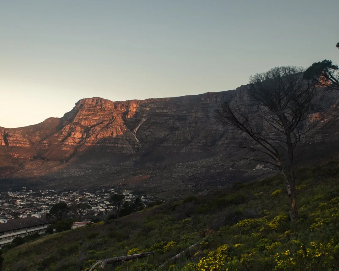 Table Mountain in the evening glow 