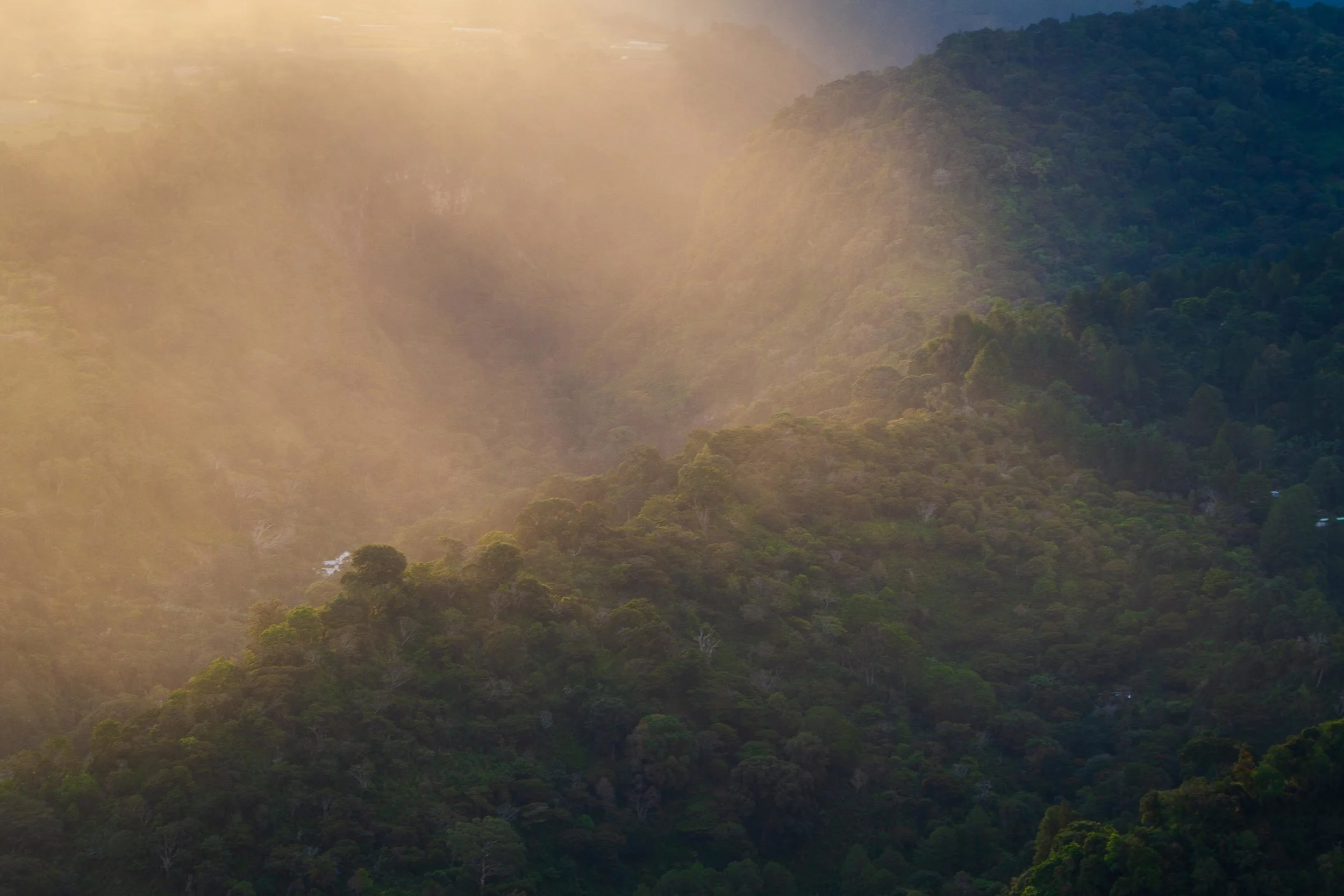 The sun sets through the mist of the jungle in Boquete, Panama