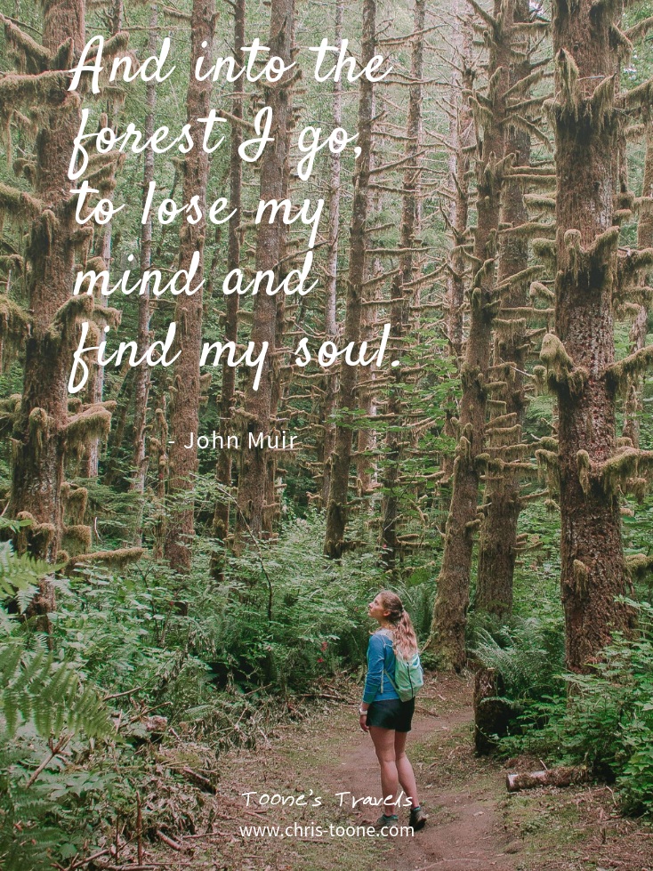 Wandering Quotes