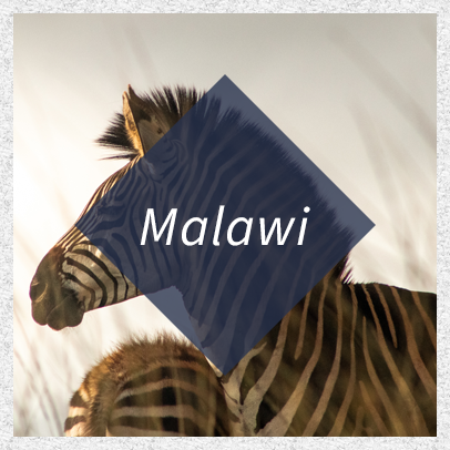MalawiIcon.png